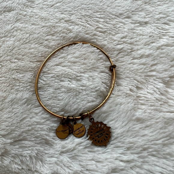 Alex and Ani Rose Gold Compass Bracelet - Picture 2 of 5